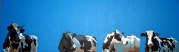 "Cows"