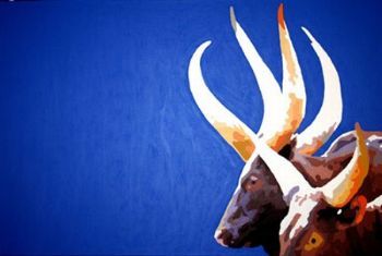 "Ethiopian Cattle"