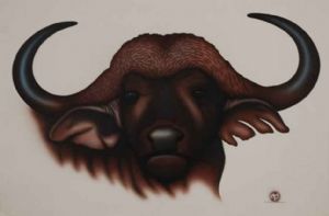 "Buffalo"