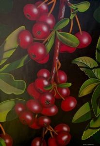 "Red Berries"
