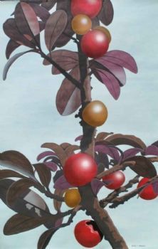 "Wild Fruit"