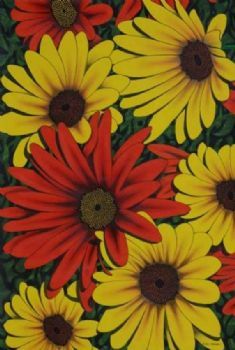 "Daisies 5"