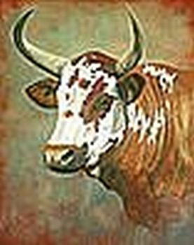 "Nguni #10"