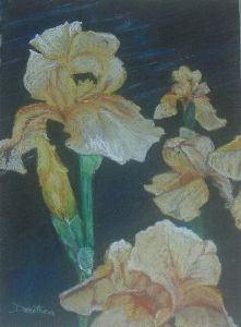 "Yellow Iris"