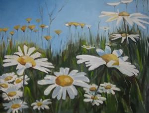 "English Daisies"