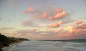 "Ansteys Beach 1"