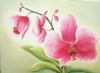 "Pink Orchid"