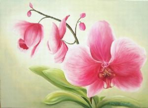"Pink Orchid"