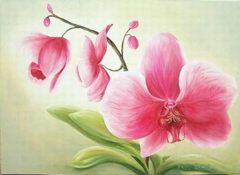 "Pink Orchid"
