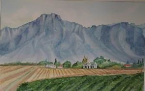 "Cape Winelands 2"