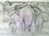 "Elephants Going"