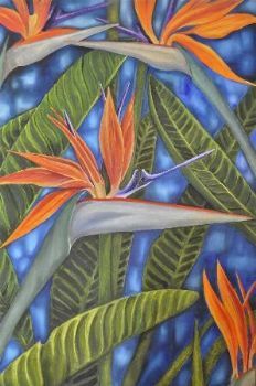 "Flaming Strelitzias"