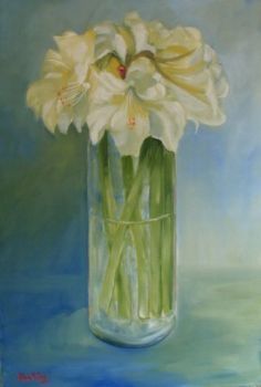 "White Amaryllis"