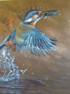 "Malachite King Fisher "