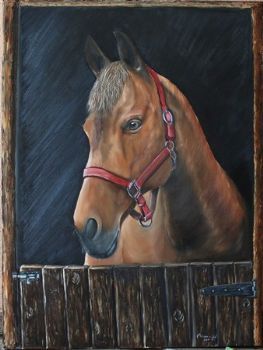 "Horse"