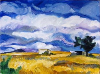 "Haasvlakte Landscape"