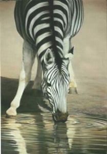 "Drinking Zebra"