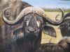 "Buffalo Composition"