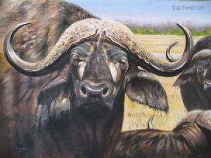 "Buffalo Composition"