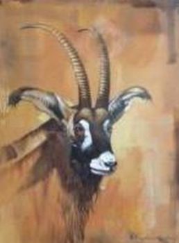 "Roan Portrait"