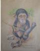 "Chimp in Gabon"