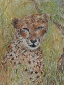 "In the wild"