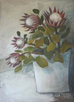 "Proteas III"