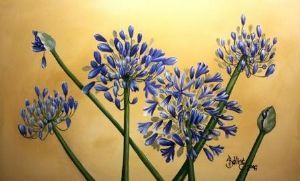 "Agapanthus"