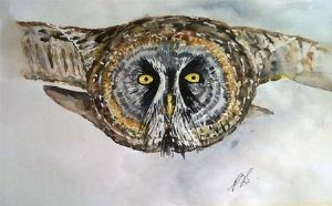 "Owl I"