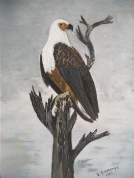 "African Fish Eagle"