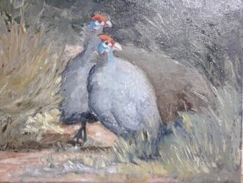 "Guinea fowl"