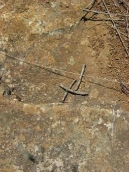 "X Marks the Spot B"