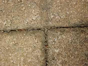 "X Marks the Spot L"