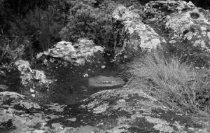 "Stones in a Row on a Rock Formation"