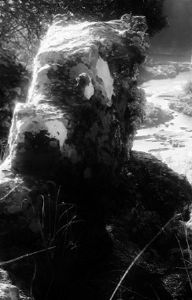 "Rock Shade t"