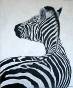 "Zebra #5"