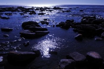 "Shoreline Rocks (1)"