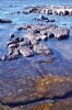 "Shoreline Rocks (3)"