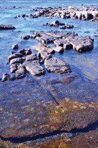 "Shoreline Rocks (3)"