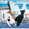 "Cats in Paternoster"