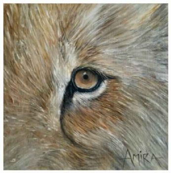 "Eye Lion"