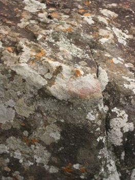 "Sandstone Pink"