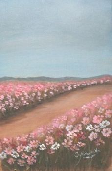 "Highveld Cosmos"
