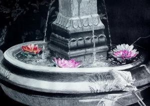"Water lilies"