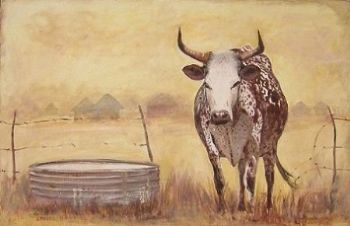 "Nguni Cow"