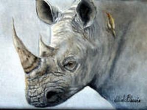 "Rhino study #7"