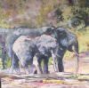 "Chobe Elephants 2011"