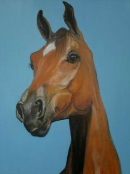 "Horse Head"