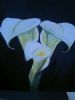 "arum lilies"