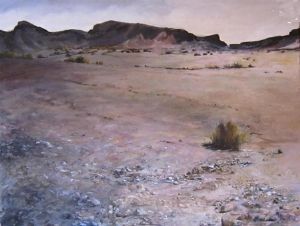 "Fields of Mica, Richtersveld"